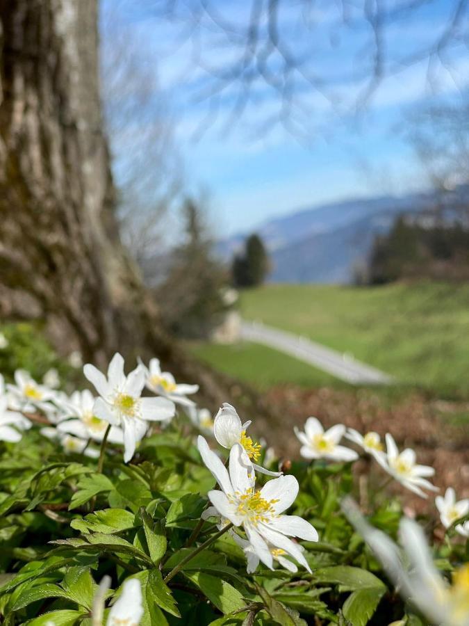Fruehstueckspension Bilgeri